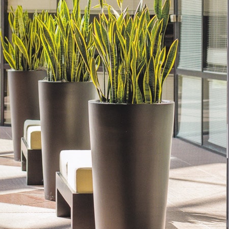 interior plantscape design & containers photo courtesy of ASI Earthforms